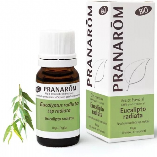 Pranarom aceite esen eucalipto radiata hoja bio 10 ml